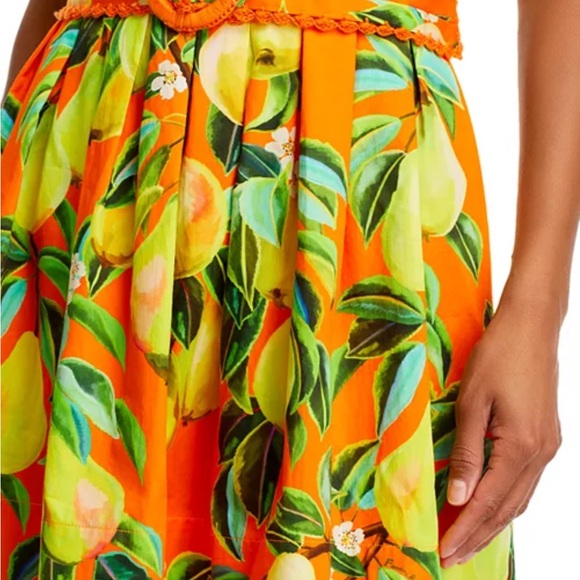 FARM Rio Organic chic pears organic cotton mini dress - Picture 6 of 6